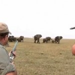 lovci-slonovi