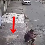 Sjedio je na trotoaru i surfao na mobitelu. Par sekundi kasnije, iza njegovih leđa mu se prišunjava pas lutalica i radi OVO!